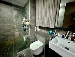 Affinity At Serangoon (D19), Apartment #459183441